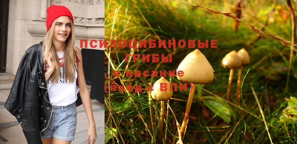 дурь Алексин