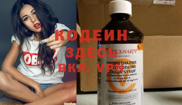 дурь Алексин